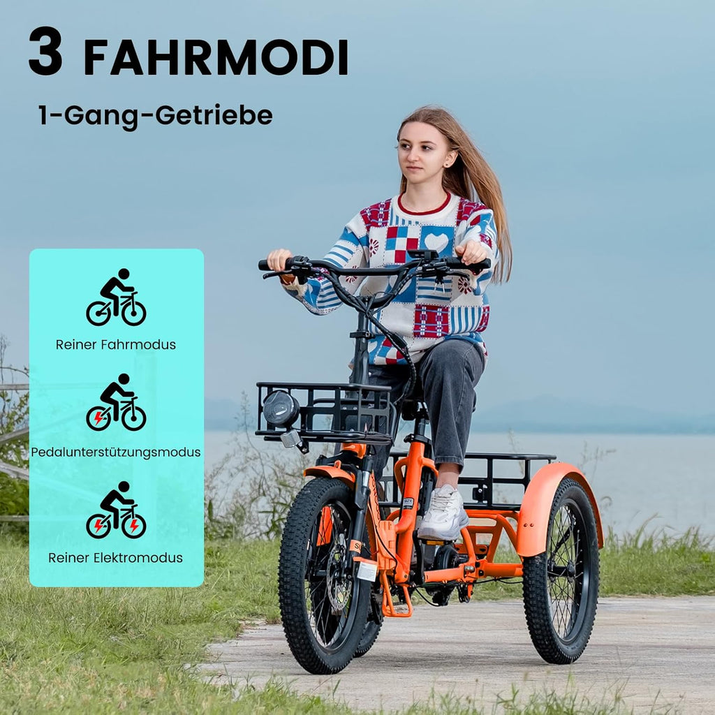 MOONCOOL E Bike Klapprad, 20" E Bike Herren Damen Mit 36V 20AH Akku, 250W Motor Elektrofahrrad, LCD-Display, Geschwindigkeit 25 KM/H, 167 KM Reichweite, IP65, 45 NM Electric Bike Mit GroßEn KöRben