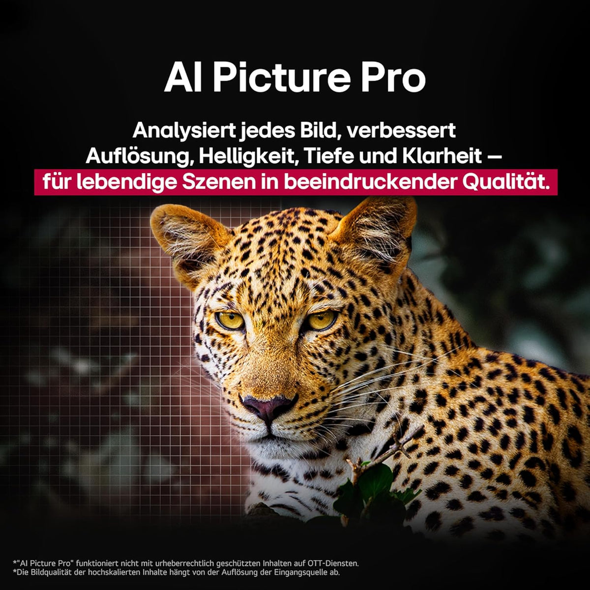 LG OLED65C5ELB TV 65 Zoll (165 cm) 4K OLED evo AI TV (α9 Gen8 4K AI Prozessor, webOS 25, 120Hz (VRR bis zu 144Hz)) Modelljahr 2025