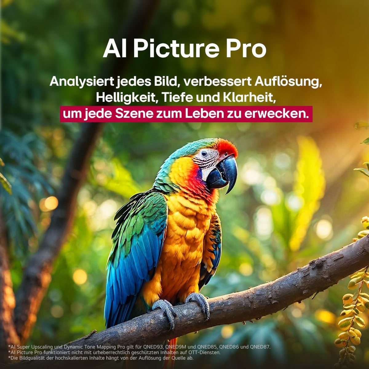 LG 55QNED86A6A TV 55 Zoll (139 cm) 4K QNED evo AI TV (α8 Gen2 4K AI Prozessor, webOS 25, 120Hz) Modelljahr 2025